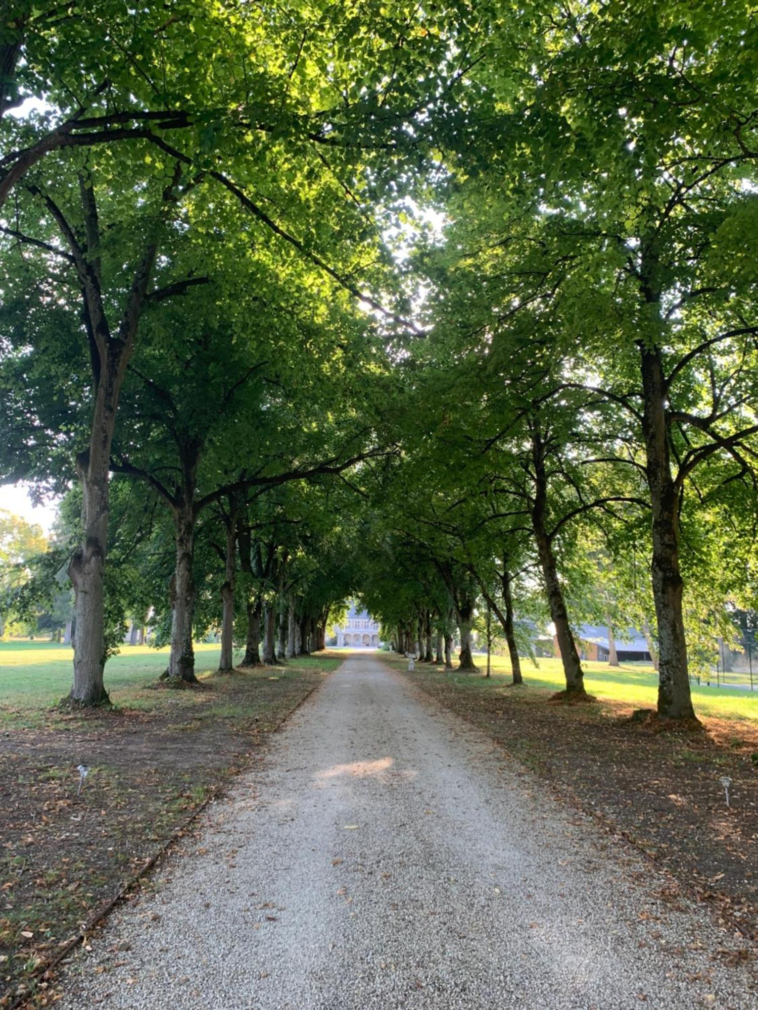 Chateau De L'Epinay - Domaine Du Marquis De Lafayette Dolus-le-Sec Buitenkant foto