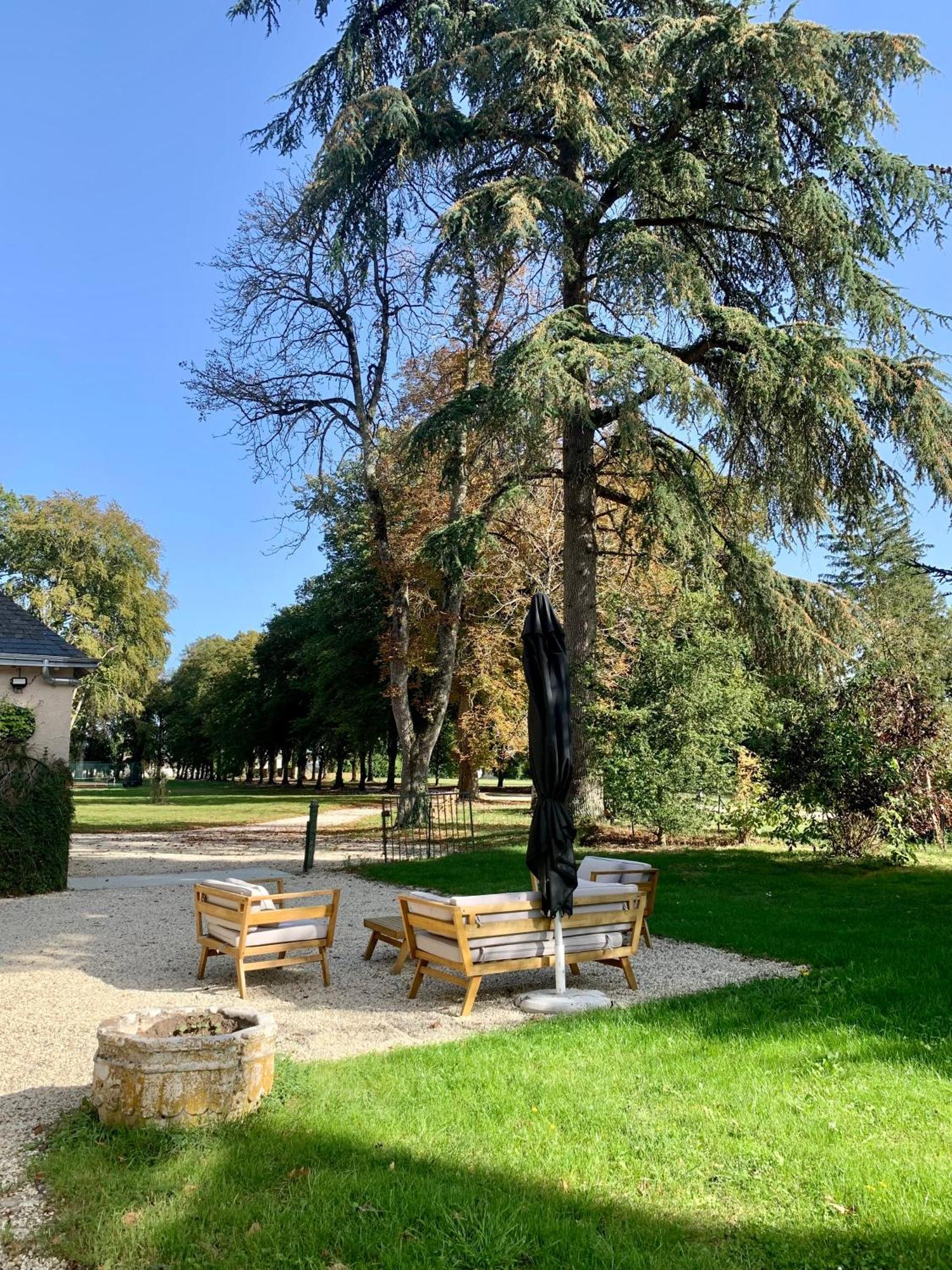 Chateau De L'Epinay - Domaine Du Marquis De Lafayette Dolus-le-Sec Buitenkant foto